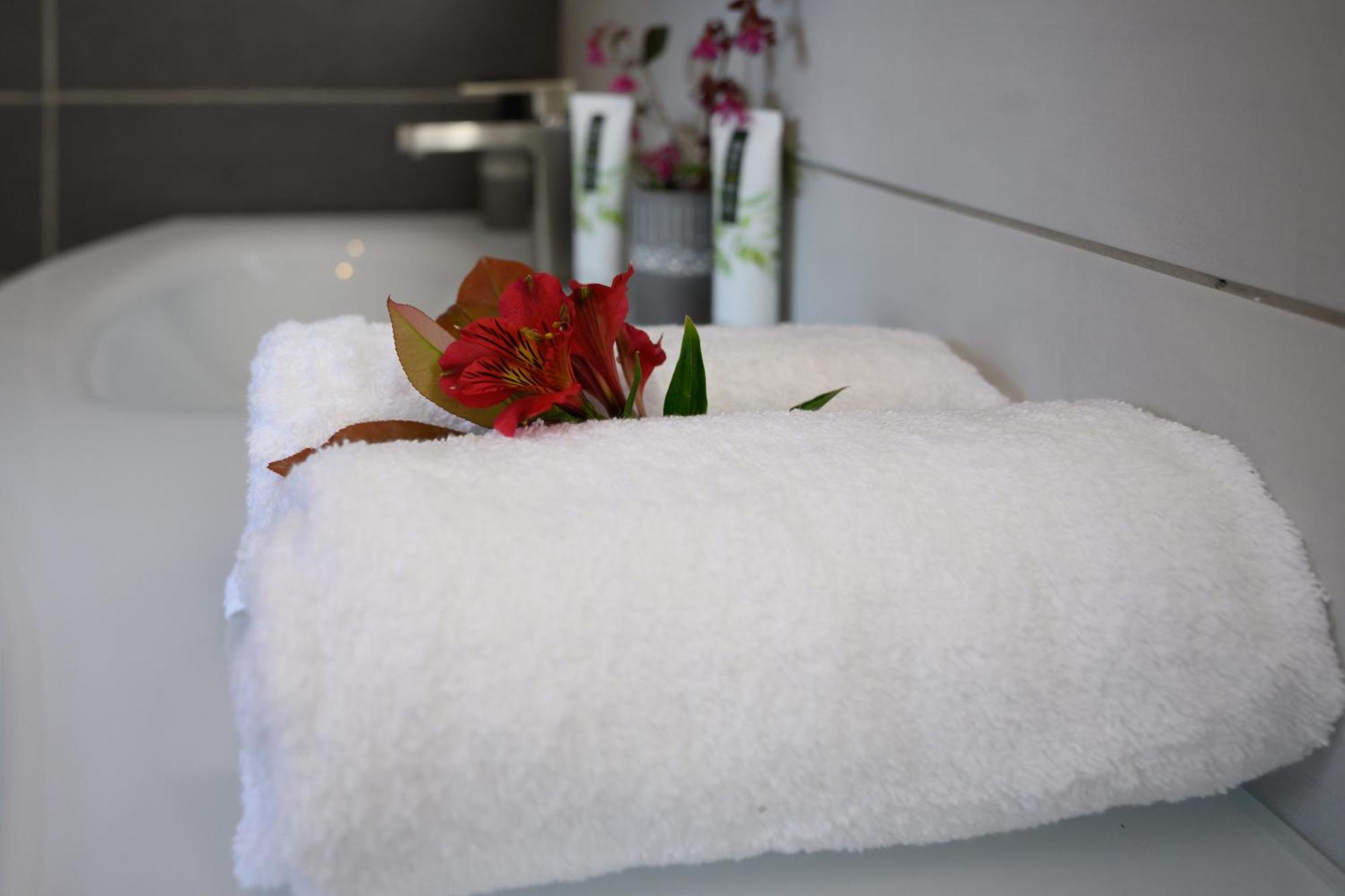 Gites La Catalane Theza 部屋 写真