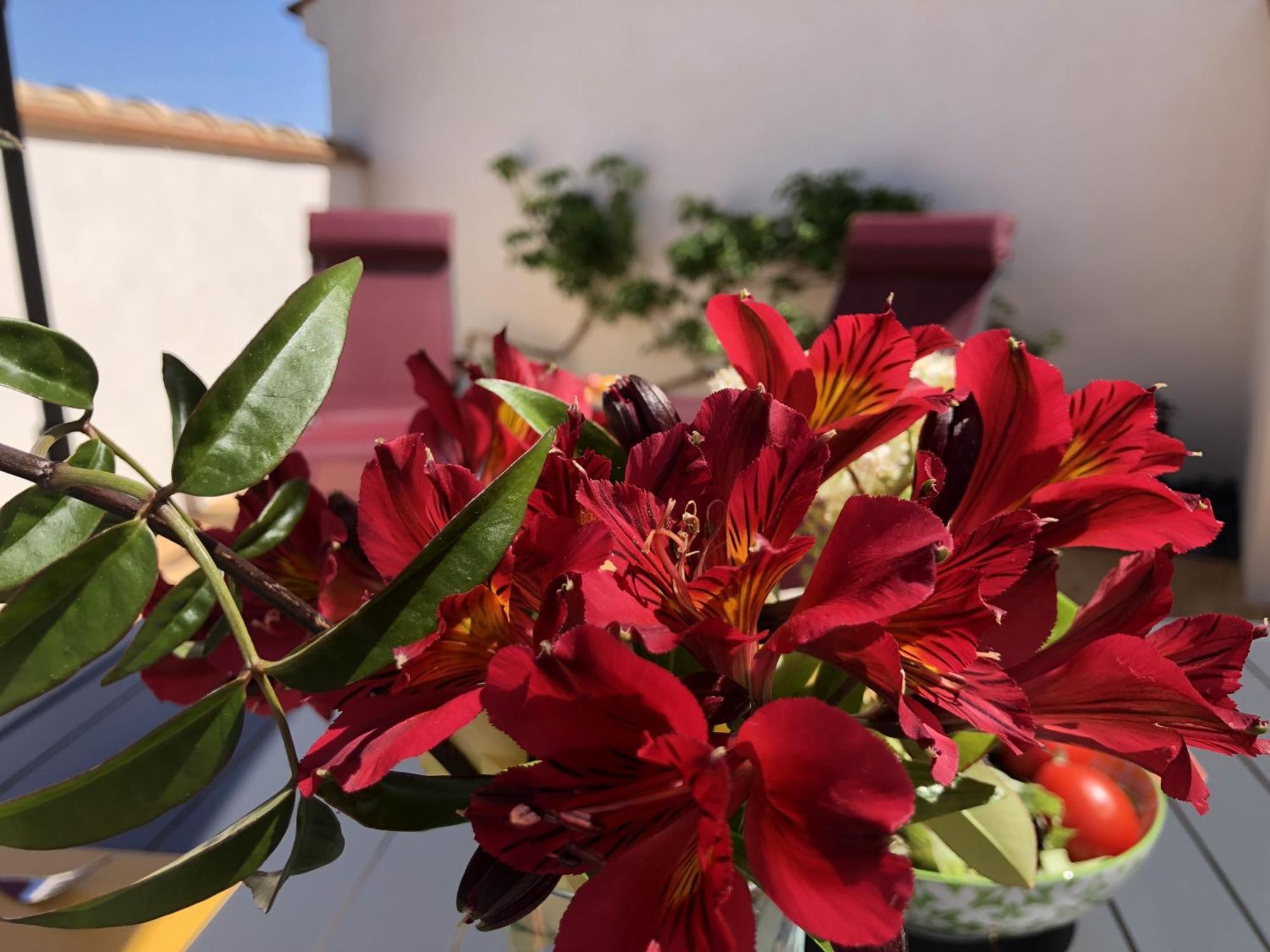 Gites La Catalane Theza 部屋 写真
